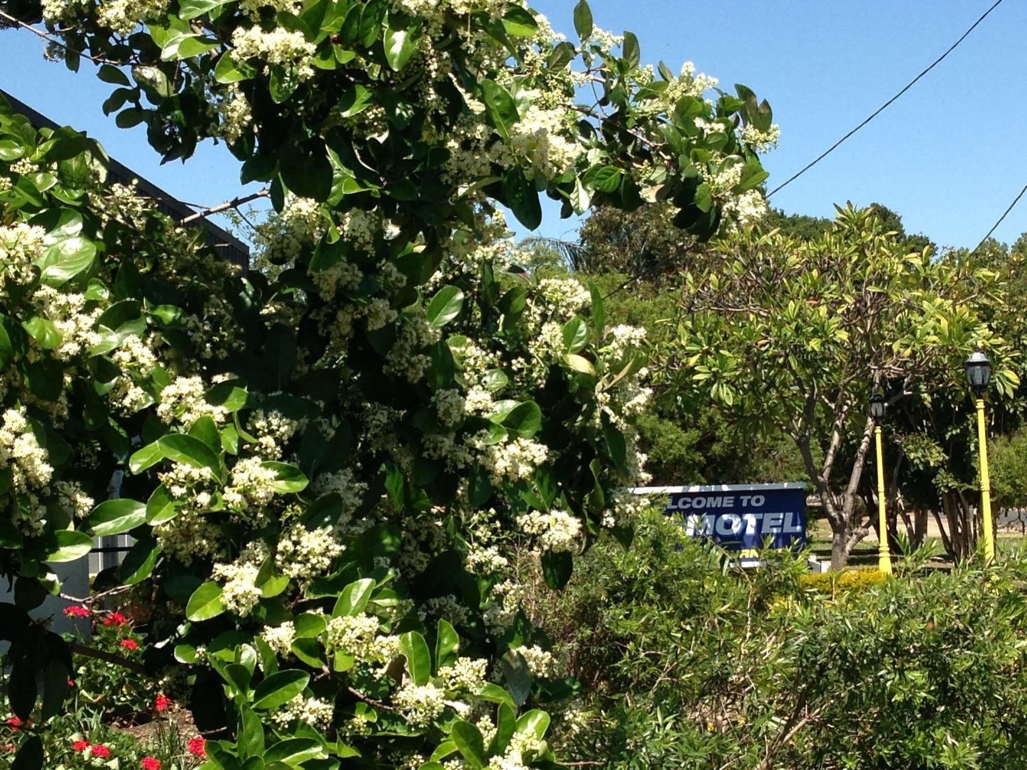 Boggabilla Motel ภายนอก รูปภาพ